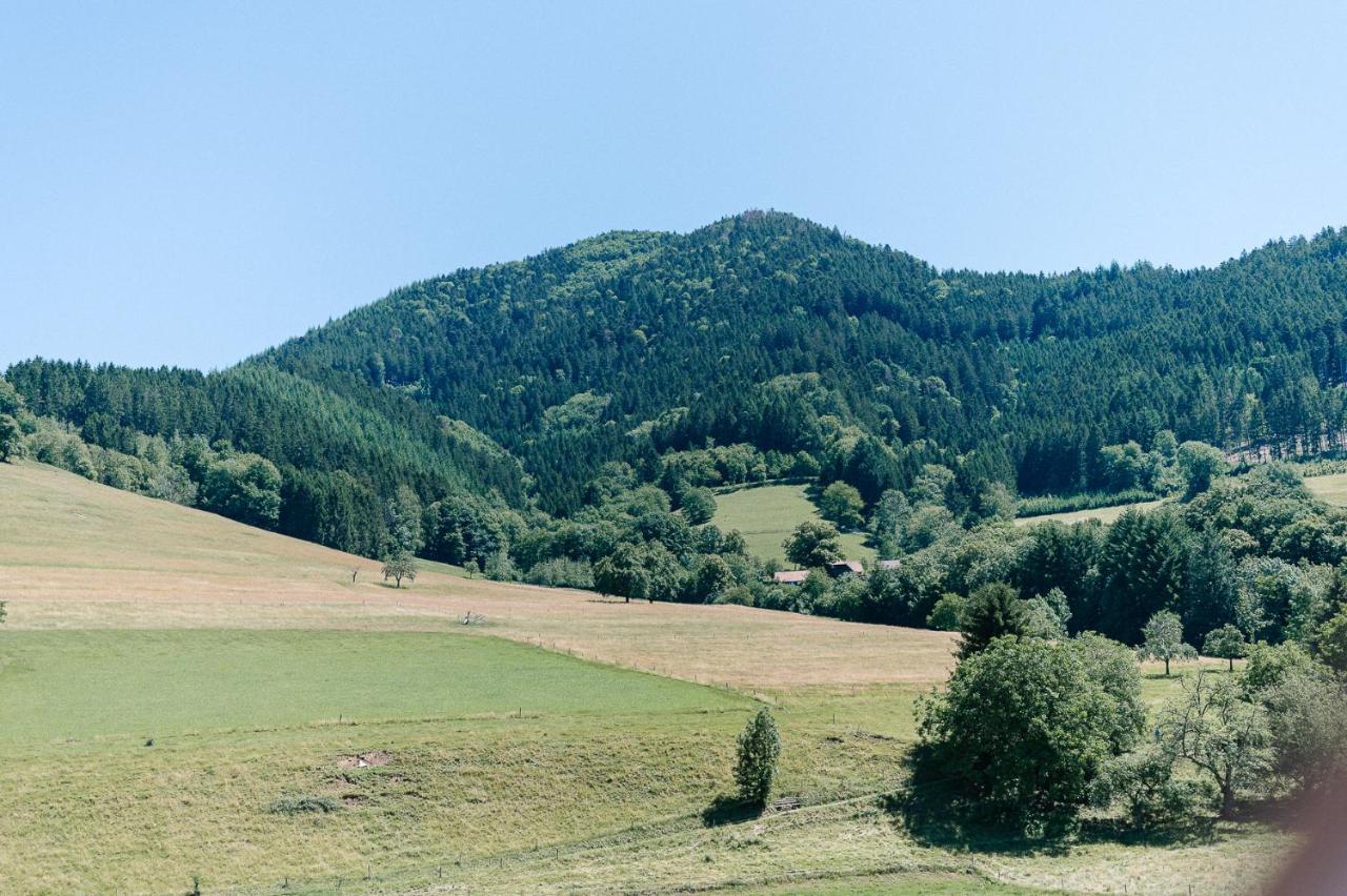 Moderne 2 Zi.-Fewo Blackforest Art Barrierefrei Naehe Freiburg Simonswald Exterior photo